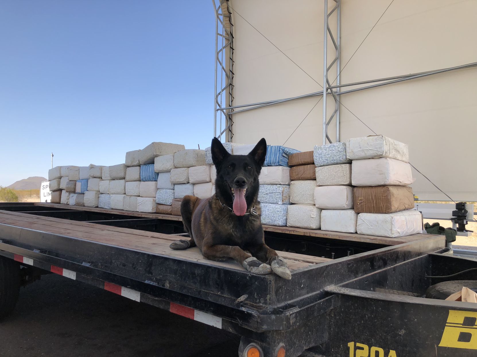 Marijuana bust